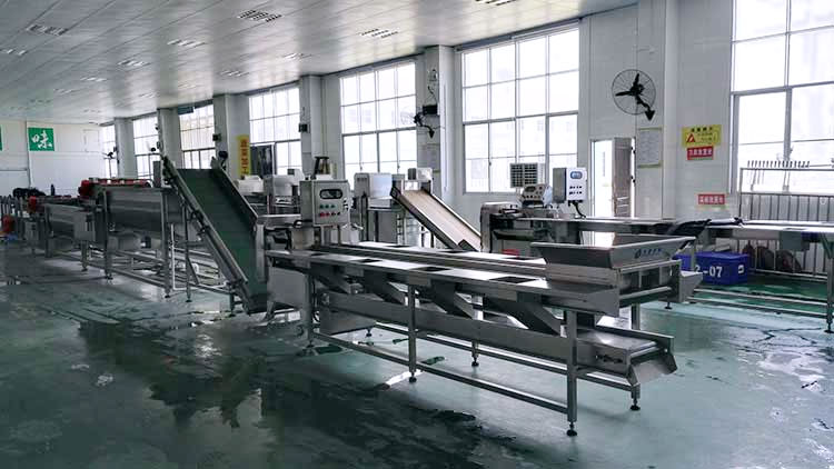 淨菜草莓视频在线观看APP係統